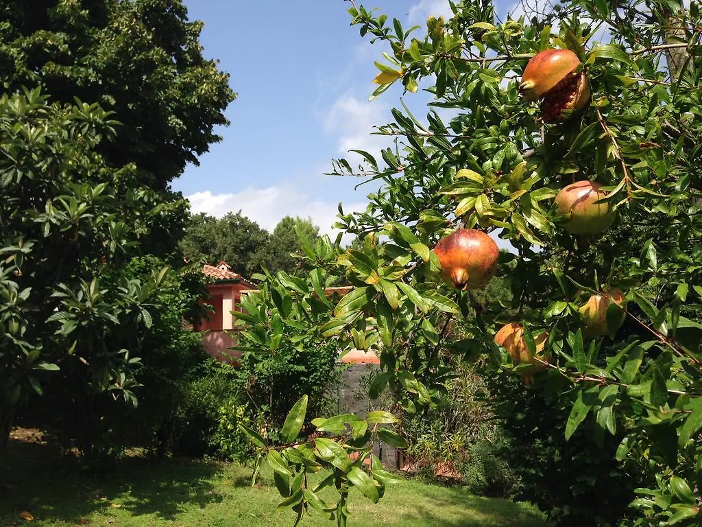 Villa Del Limone Valverde  Valverde (Sicily)